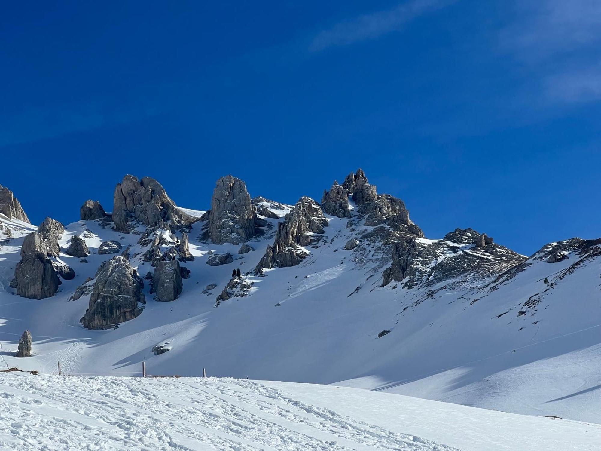 Chalet Tschattlhof Dolomites Cavalese Dış mekan fotoğraf