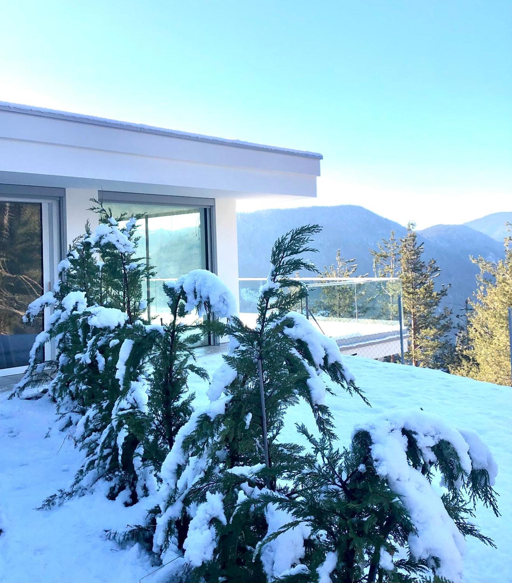 Chalet Tschattlhof Dolomites Cavalese Dış mekan fotoğraf