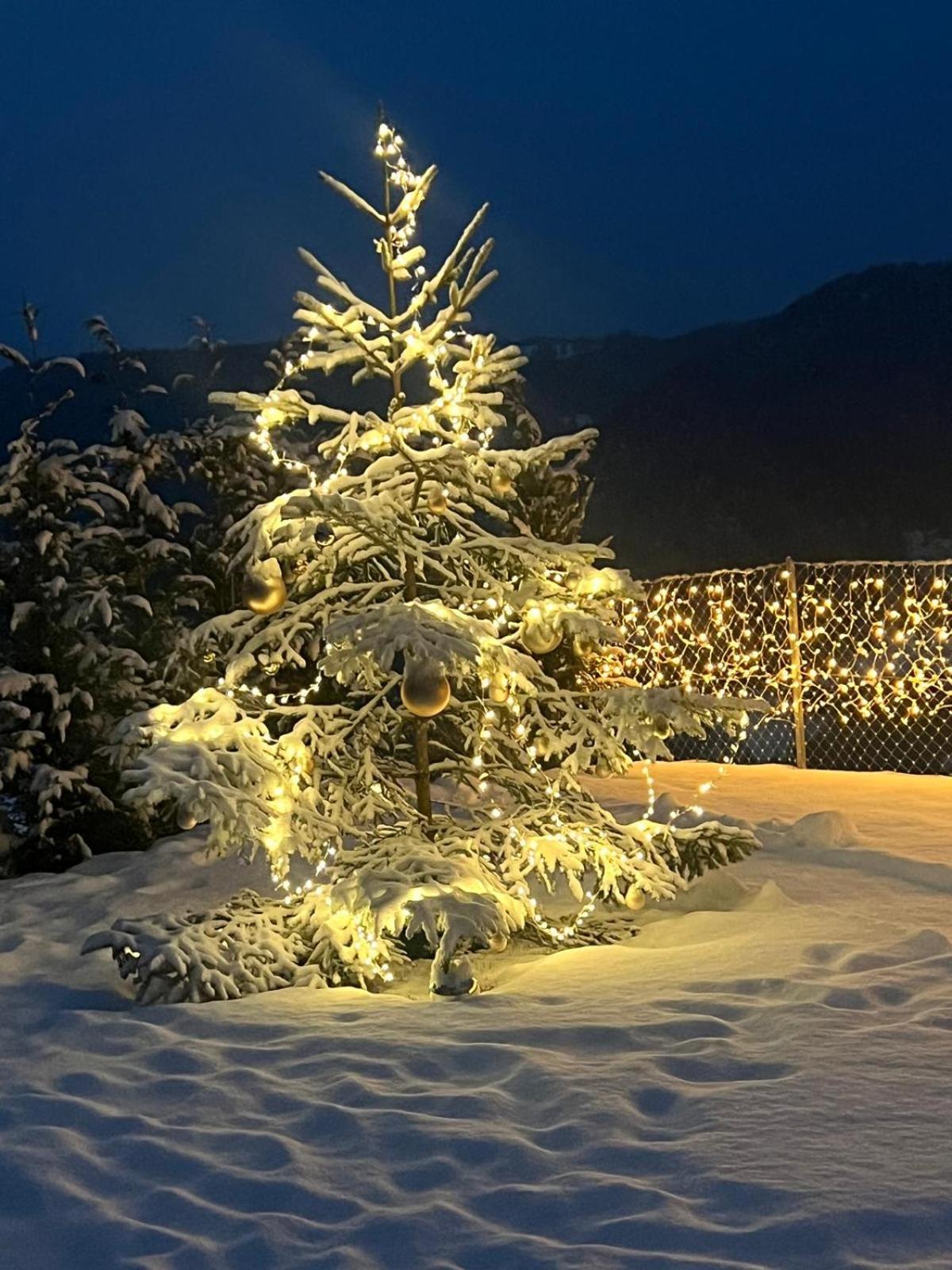 Chalet Tschattlhof Dolomites Cavalese Dış mekan fotoğraf