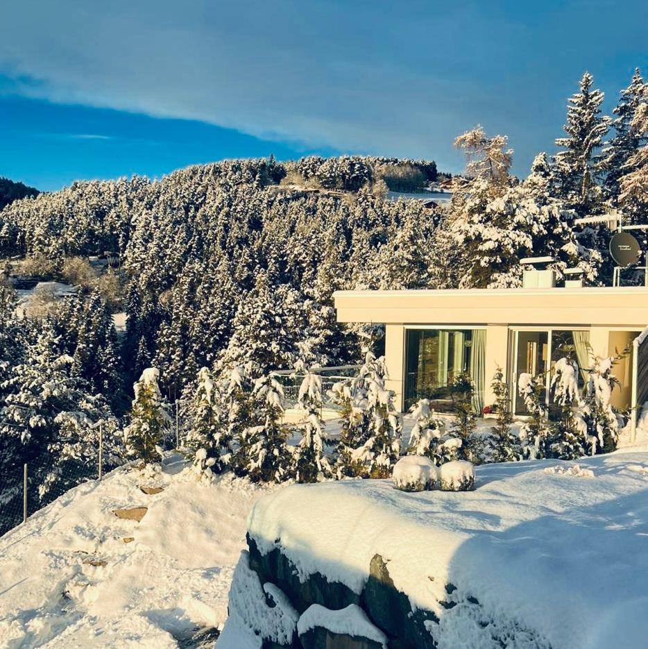 Chalet Tschattlhof Dolomites Cavalese Dış mekan fotoğraf